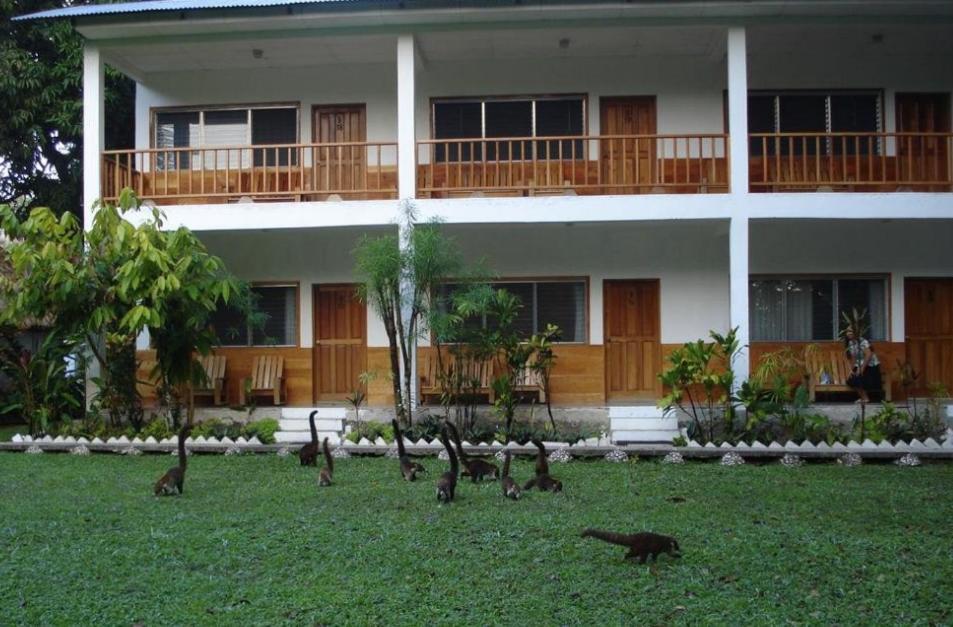 Hotel Tikal Inn Eksteriør billede